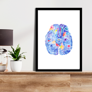 Brain Art, Neurology Anatomy Artwork, Neurosurgeon Gift