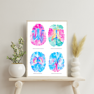 Brain Anatomy Artwork, Neurology Office Decor, Neuroscientist Gift