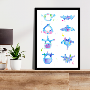 Vertebrae Anatomy Art Print, Chiropractic and Physical Therapy Wall Decor