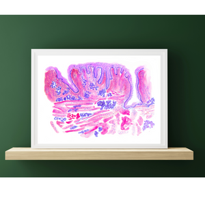 Tongue Histology Art Print