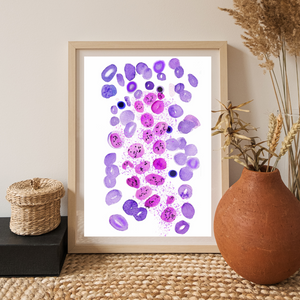 mast cells painting