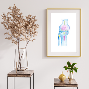 Knee Anatomy, Physical Therapy Art, Orthopedic Surgery Art