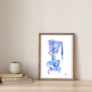 Skeleton Human Anatomy Art Print