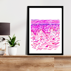 Epidermis Art - Dermatology Art - Dermatologist Gift - Esthetician Gift - Histopathologist Gift - Dermatologist Gift - Dermatologist Decor