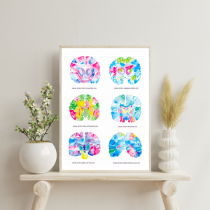 Brain Neuroanatomy Art, Neurologist Gift, Medical Office Decor