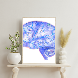 Brain Anatomy and Arteries Anatomy Art Print (Copy)