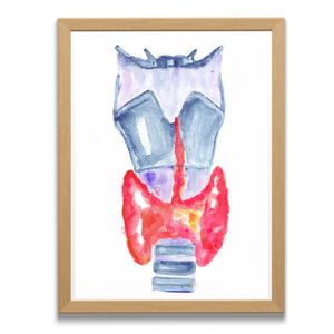 Thyroid Anatomy Art Print