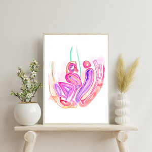 Female Pelvis Reproductive Organs Art Print