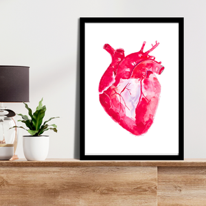 Heart Anatomy Watercolor Illustration