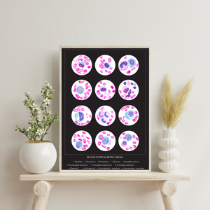 Blood Cells Art Print