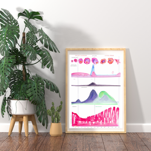 Menstrual Cycle Watercolor Art Print
