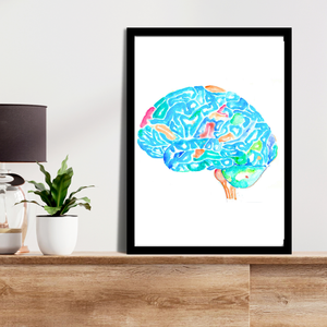 Brain Anatomy Art Print