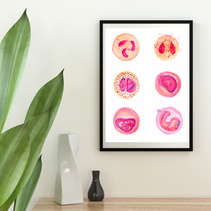 Leukocytes Art Print