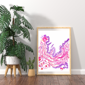 Lung -  Bronchiole Histology Watercolor Art