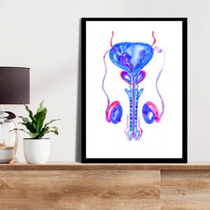 Urology Artwork