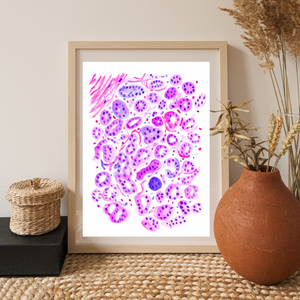 Breast Histology Art Print