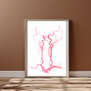 Brain Arteries in Red Watercolor Artwork