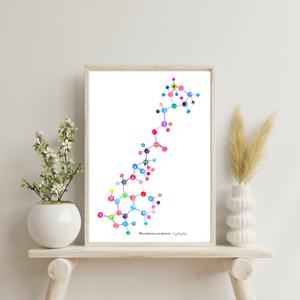 Mycophenolate Mofetil  Molecule Art Print