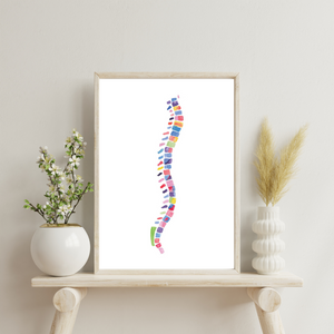 Spine Anatomy Abstract Chiropractor Art Print