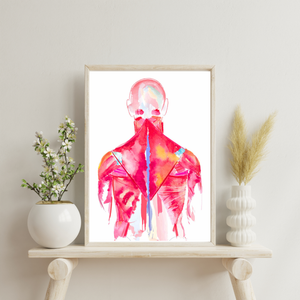 Back Muscle Anatomy Art Print