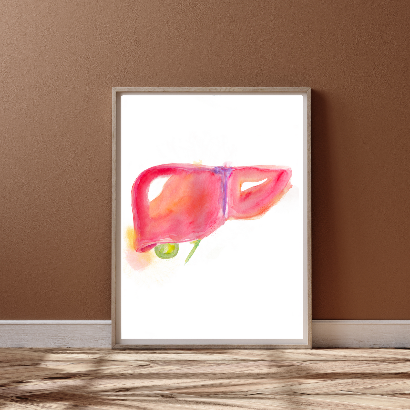 Liver Anatomy Art Print
