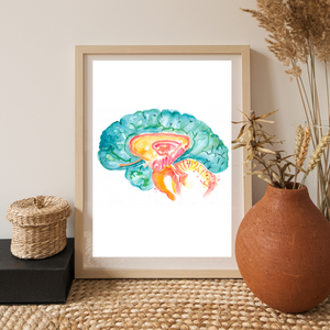 Hippocampus Brain Anatomy Art Print