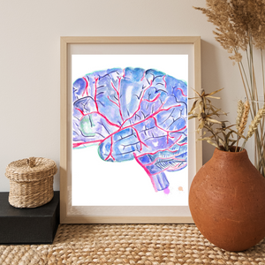 Brain Anatomy and Arteries Anatomy Art Print