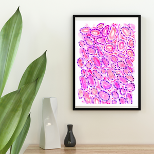 Thyroid Histology Art