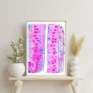 Duodenum Histology Art Print