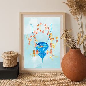 Pelvic Lymph Nodes Male Anatomy Urology Artwork