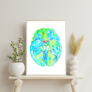 Brain Anatomy Watercolor Painting