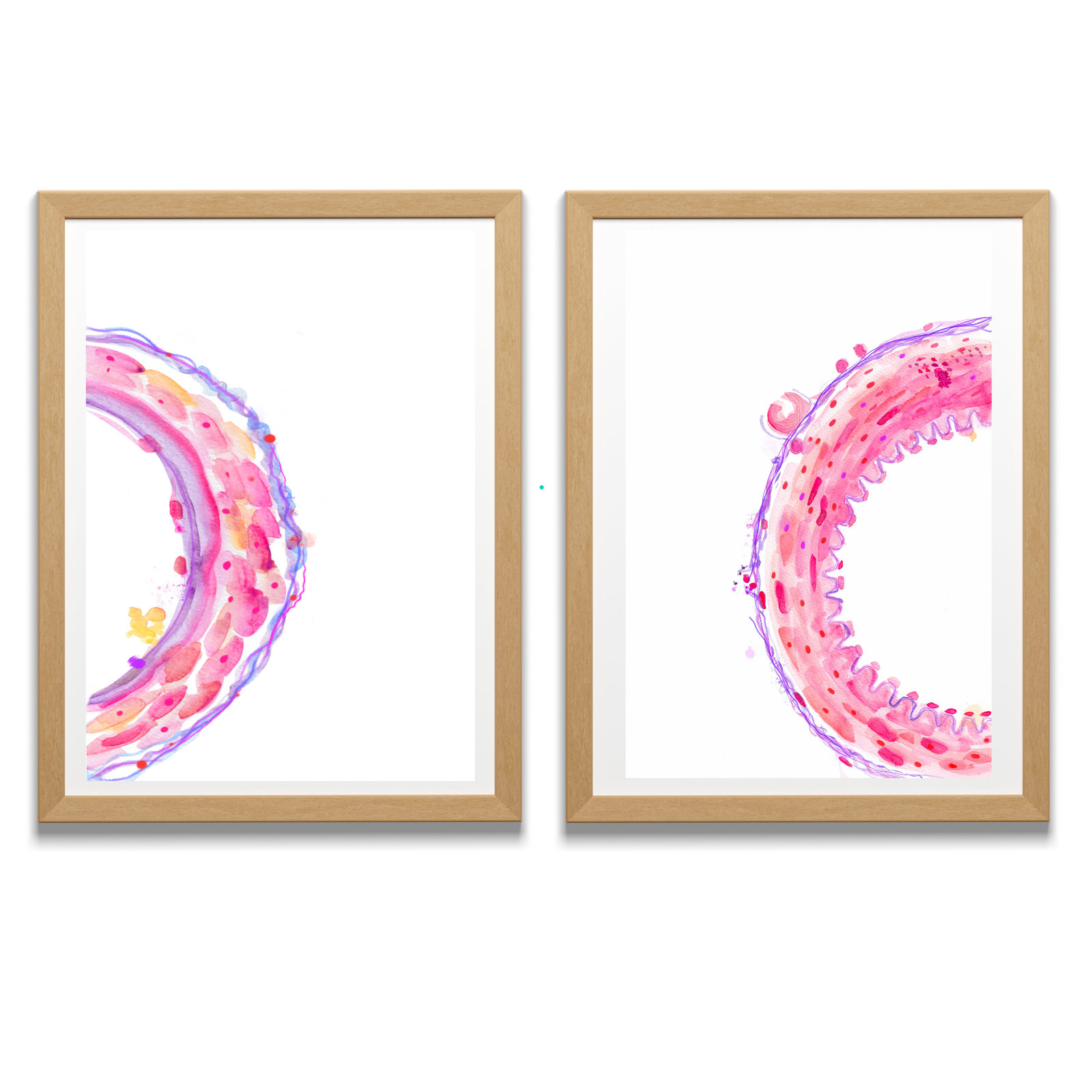 Artery and Vein Histology Art Print