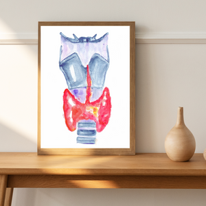 Thyroid Anatomy Art Print