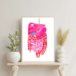 Abdominal Anatomy, Gastrointestinal Print, General Surgery Art