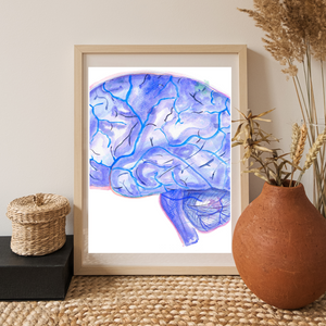 Brain Anatomy and Arteries Anatomy Art Print (Copy)