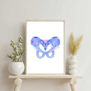 Pelvis Anatomy Art Print, Physical Therapy Art, Orthopedic Surgery Art