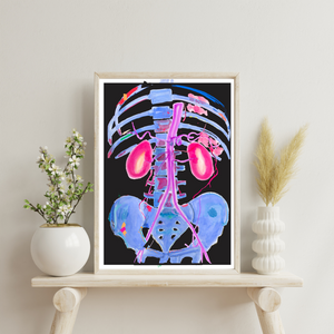 Abdominal CTA Aorta, Kidney Vascular Abstract Anatomy Art Print