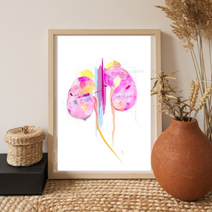 Kidney Art, Abstract Anatomy Art, Nephrology Office Art