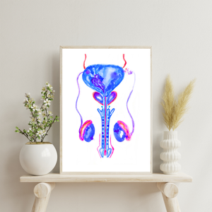 Urology Artwork