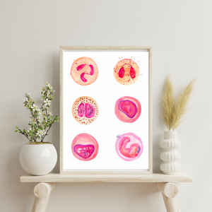 Leukocytes Art Print