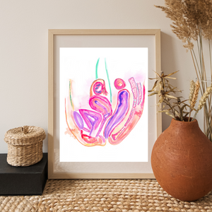 Female Pelvis Reproductive Organs Art Print