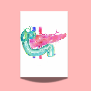 Pancreas Anatomy Art Watercolor Print