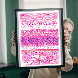 Retina Layers Histology Watercolor Art Print
