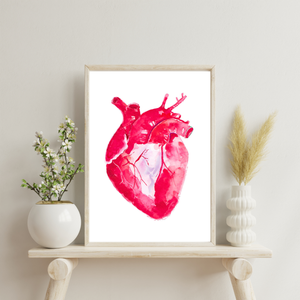 Heart Anatomy Watercolor Illustration