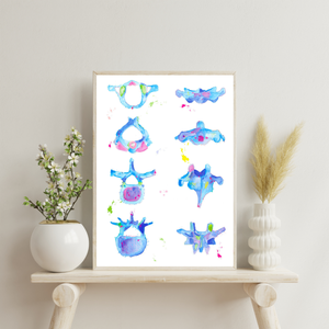 Vertebrae Anatomy Art Print, Chiropractic and Physical Therapy Wall Decor