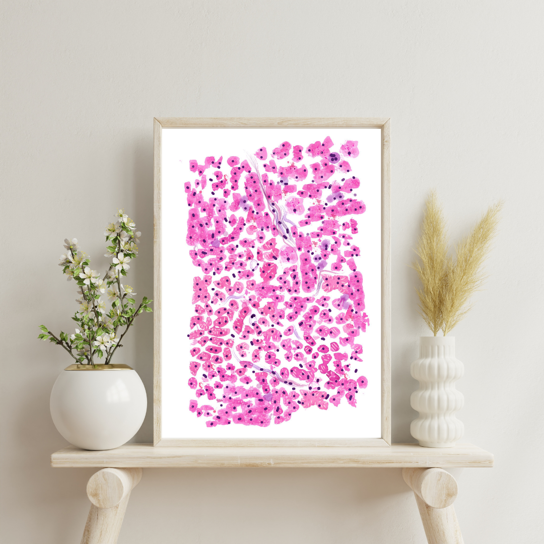Cardiac Histology Art Print, Pathology Office Art