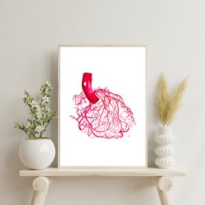 Heart Anatomy Vascularization Art Print