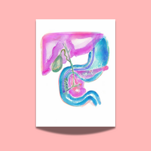 ERCP Gastroenterology Art