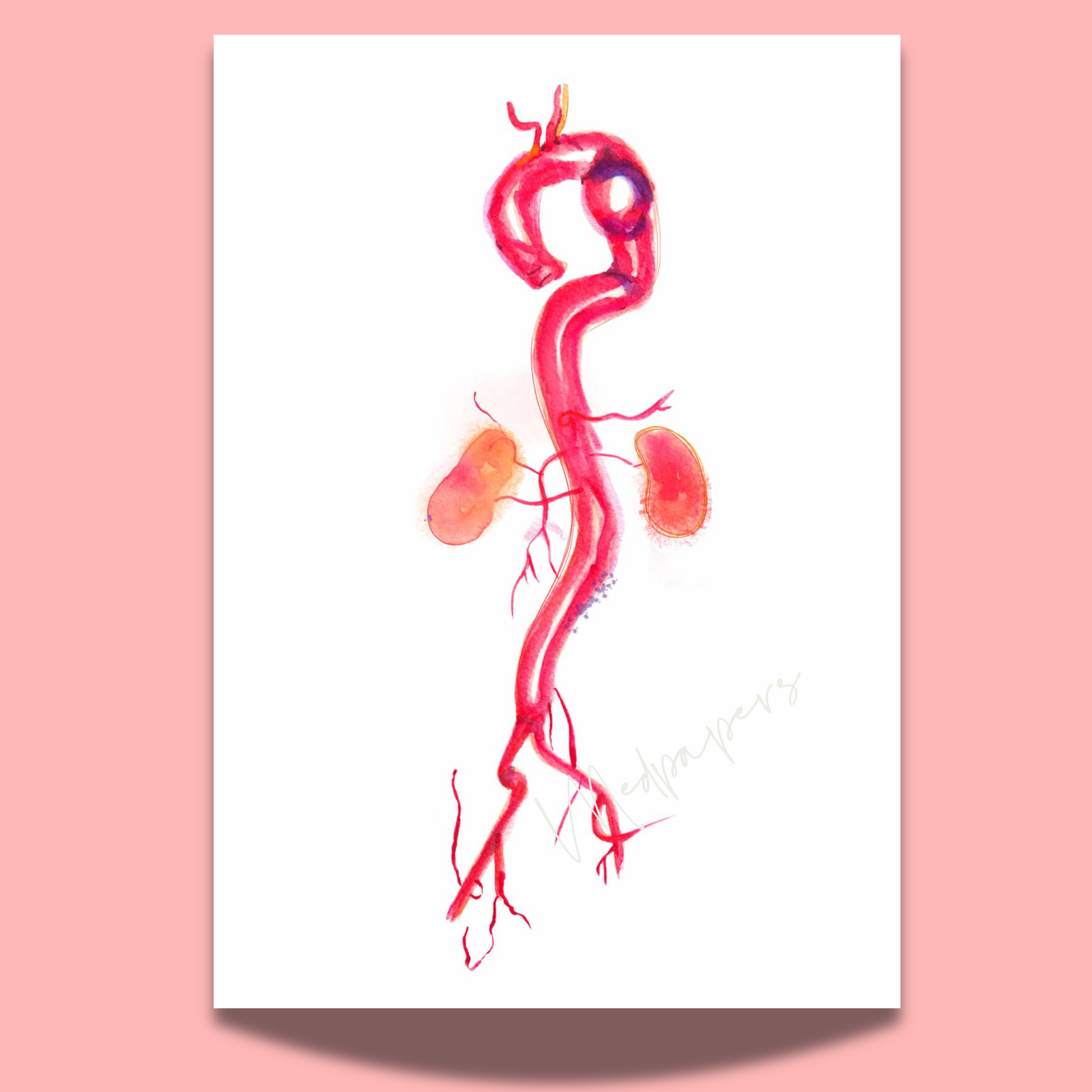 Aorta Anatomy Art