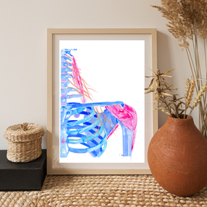 Cervical Plexus Abstract Anatomy Art